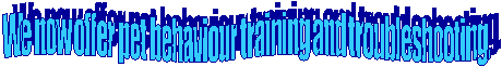 We now offer pet behaviour training and troubleshooting.

